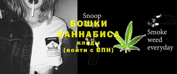 прущий лед Горняк