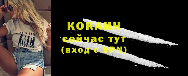 прущий лед Горняк